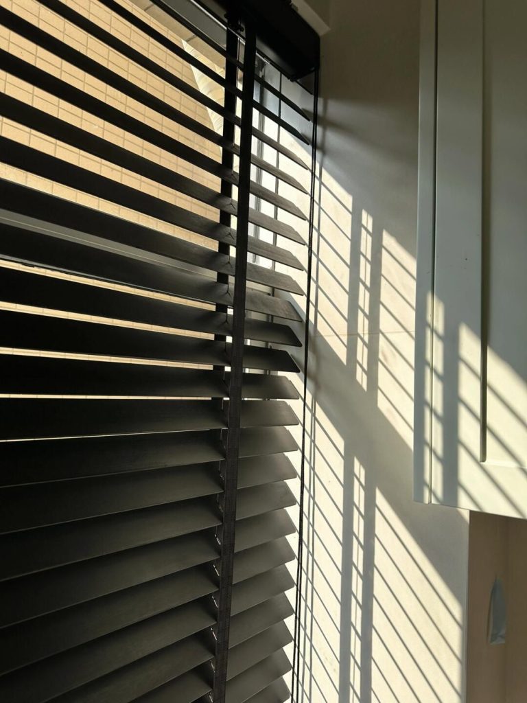 venetian blinds