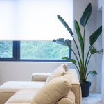Roller blinds for Singapore HDB and condo homes
