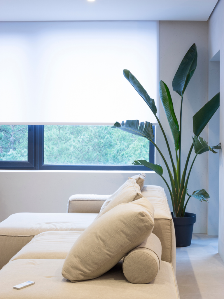 roller blinds