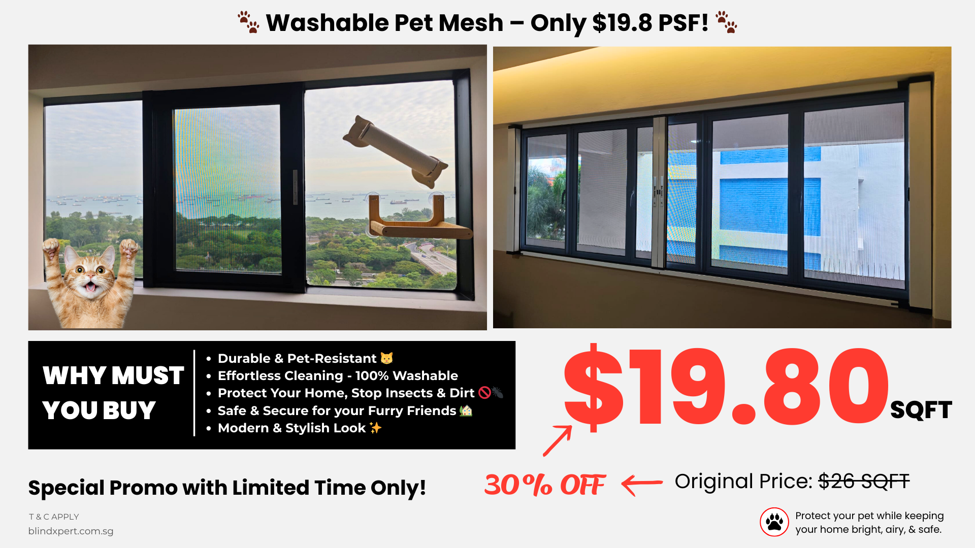blindxpert pet mesh