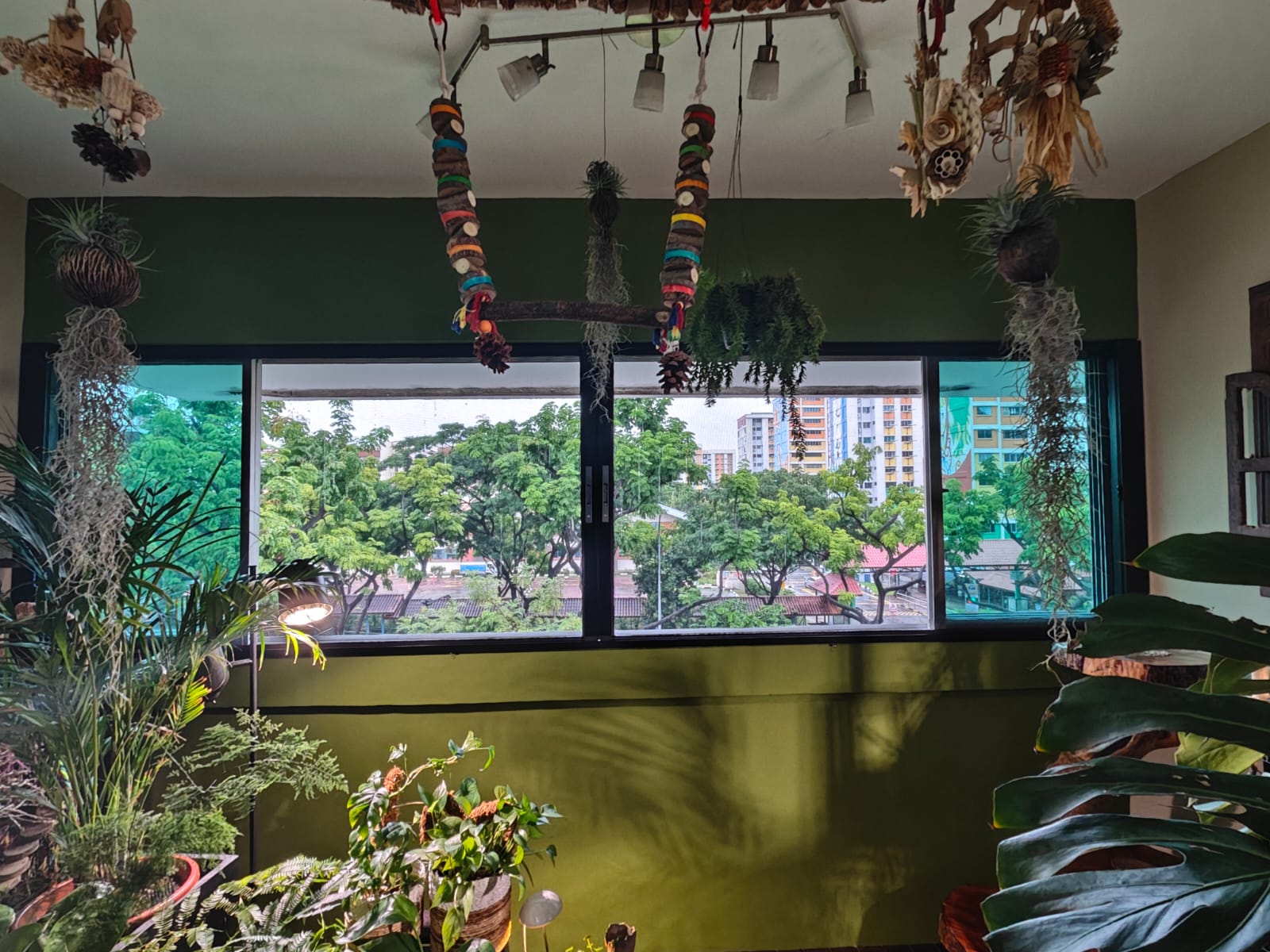 BlindXpert BX MultiPro Screen installed across a wide sliding window in Singapore