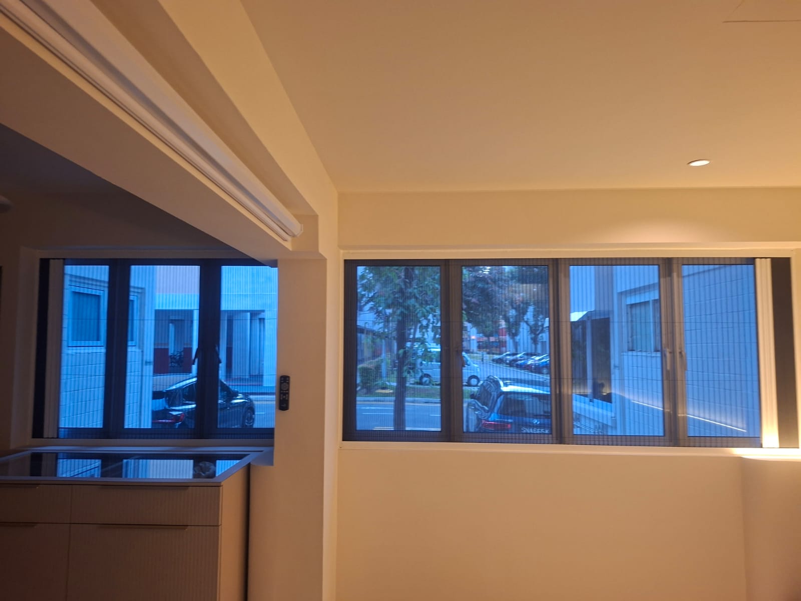 BX MultiPro Screens installed on two adjacent window openings of different widths