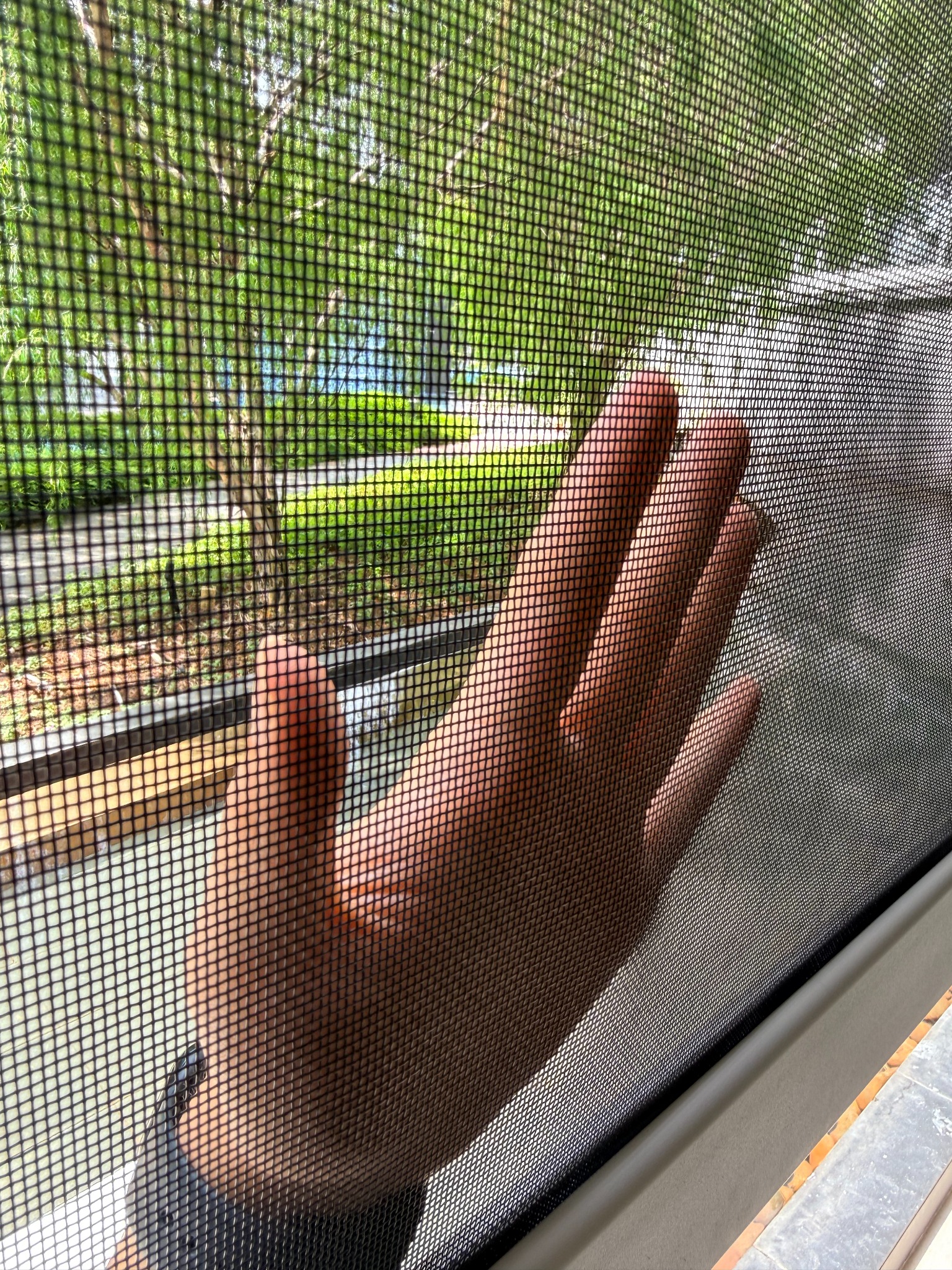 Close-up view through BX MultiPro mesh